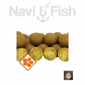 IB Carptrack Osmotic Oriental Spice Boilie