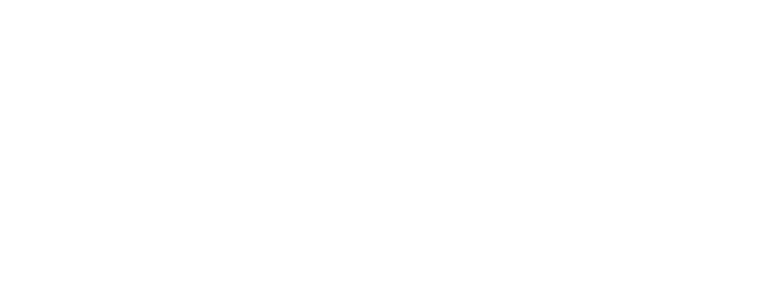 X-BRAID-03